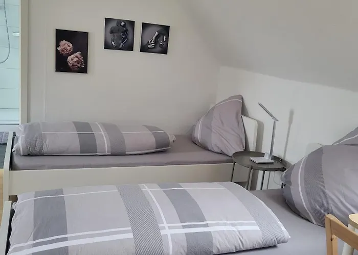 A&V Apartments Gemuetliche Rheinblick Wohnung Apt Daisy